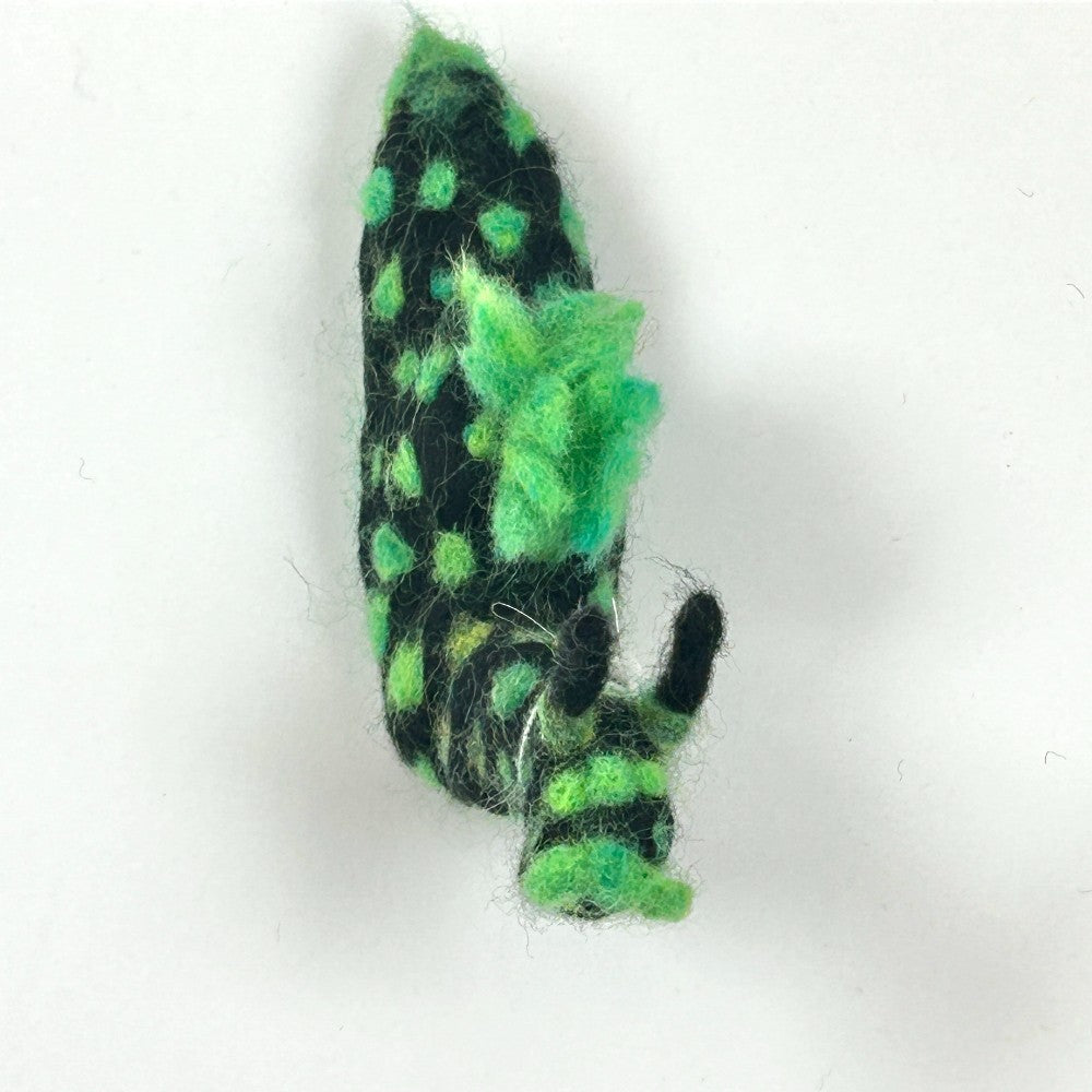 Ricardo the Nudibranch by Gina Laguzza|4535