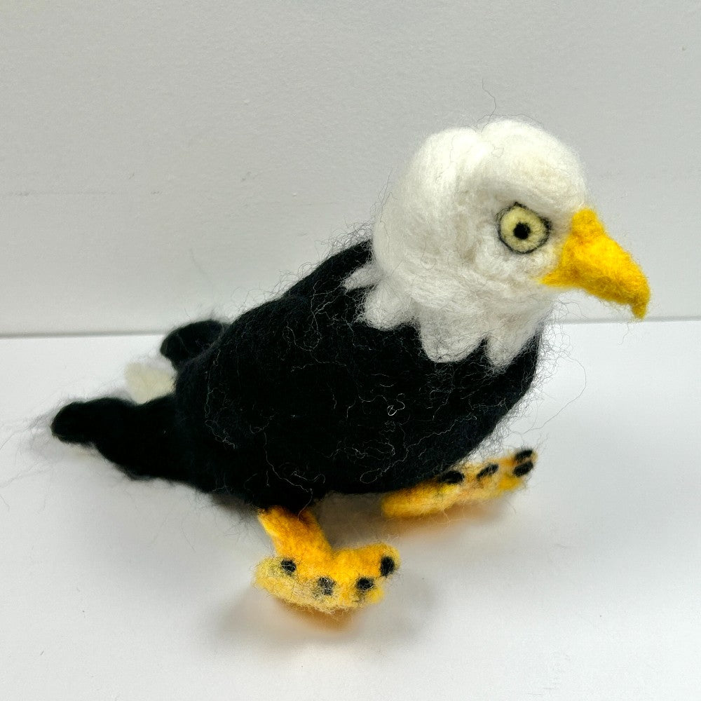 Bert - The Bald Eagle - by Gina Laguzza|4766