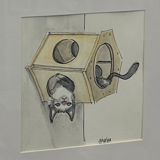 Upside Down Kitten - by Ahalya Mandana