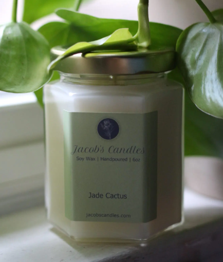 Jade Cactus candle from Jacob's Candles