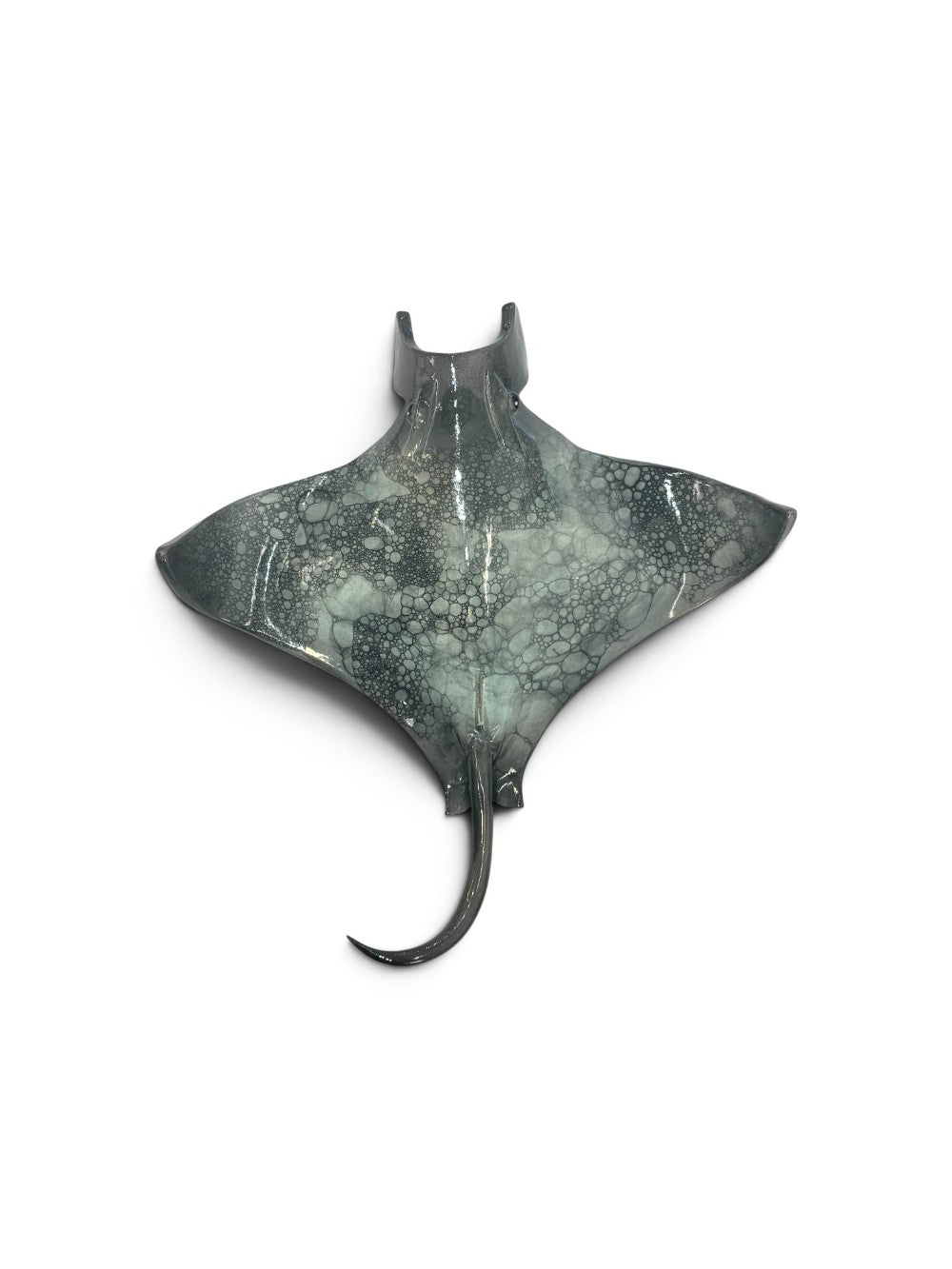 Manta Ray small - by Tim Mikus|3694