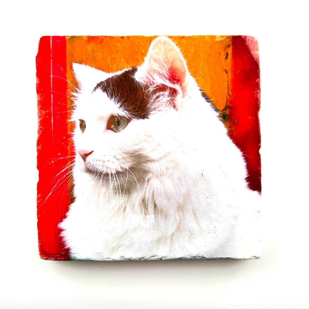 White Cat Photograph Coaster - Printed at Artem|4498