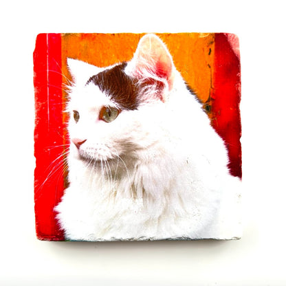 White Cat Photograph Coaster - Printed at Artem|4498