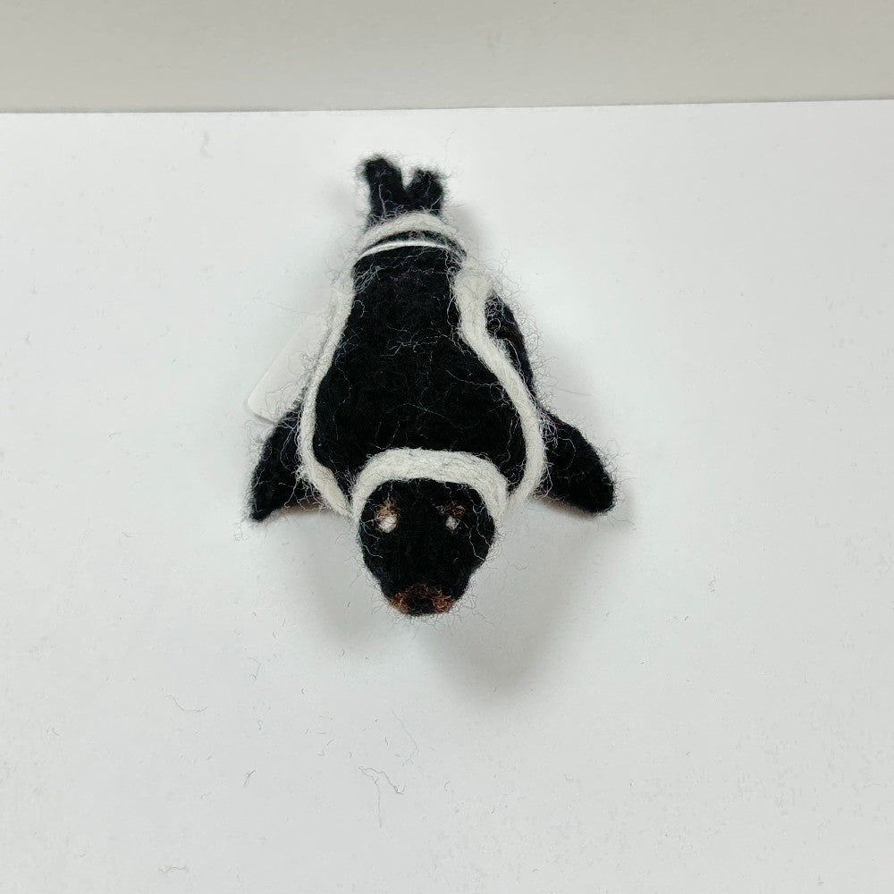Pascal the Ribbon Seal by Gina Laguzza|4537