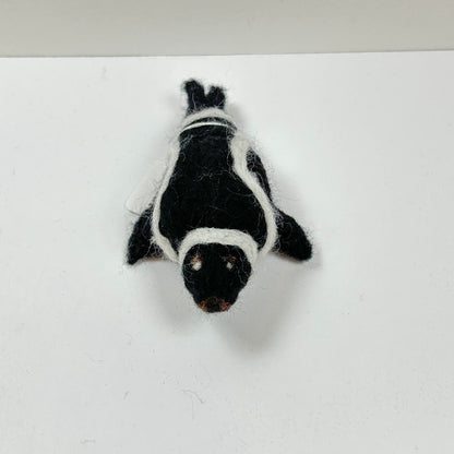 Pascal the Ribbon Seal by Gina Laguzza|4537