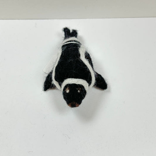 Pascal the Ribbon Seal by Gina Laguzza|4537