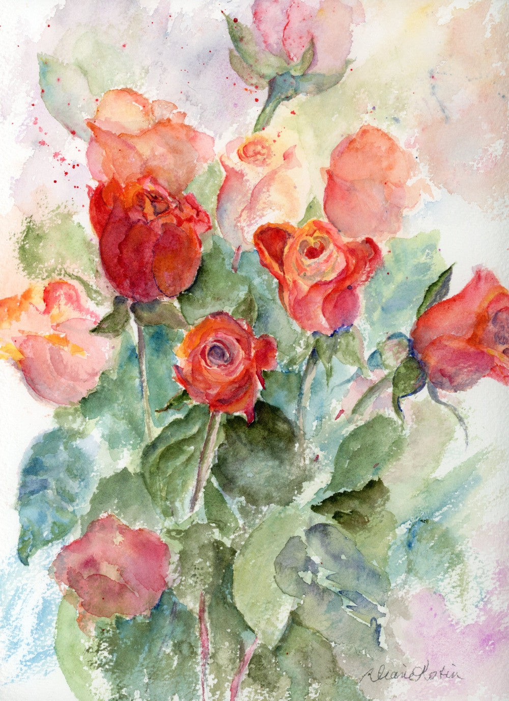 Coral Roses - by Diane Kotin|3973