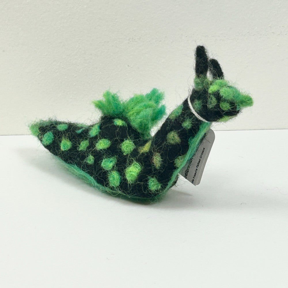 Ricardo the Nudibranch by Gina Laguzza|4536