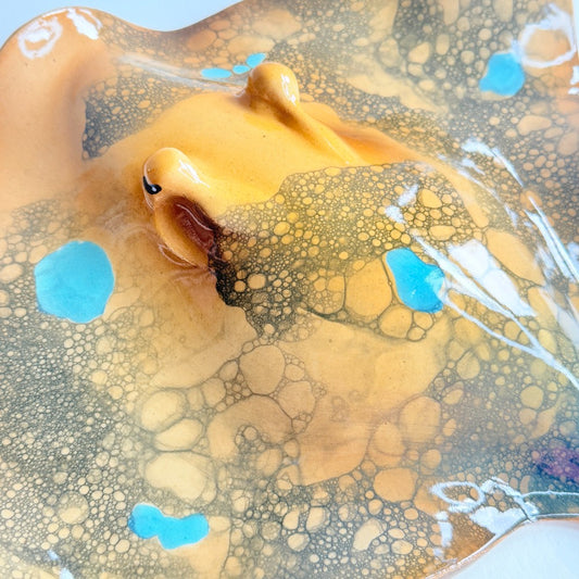 Blue Spotted Ray by Tim Mikus|5360