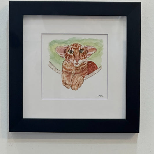 Oriental Cat - Original watercolor by Salil Kamat|5721