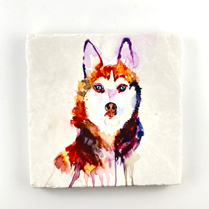 Husky Coaster  Water Color Art- Printed at Artem