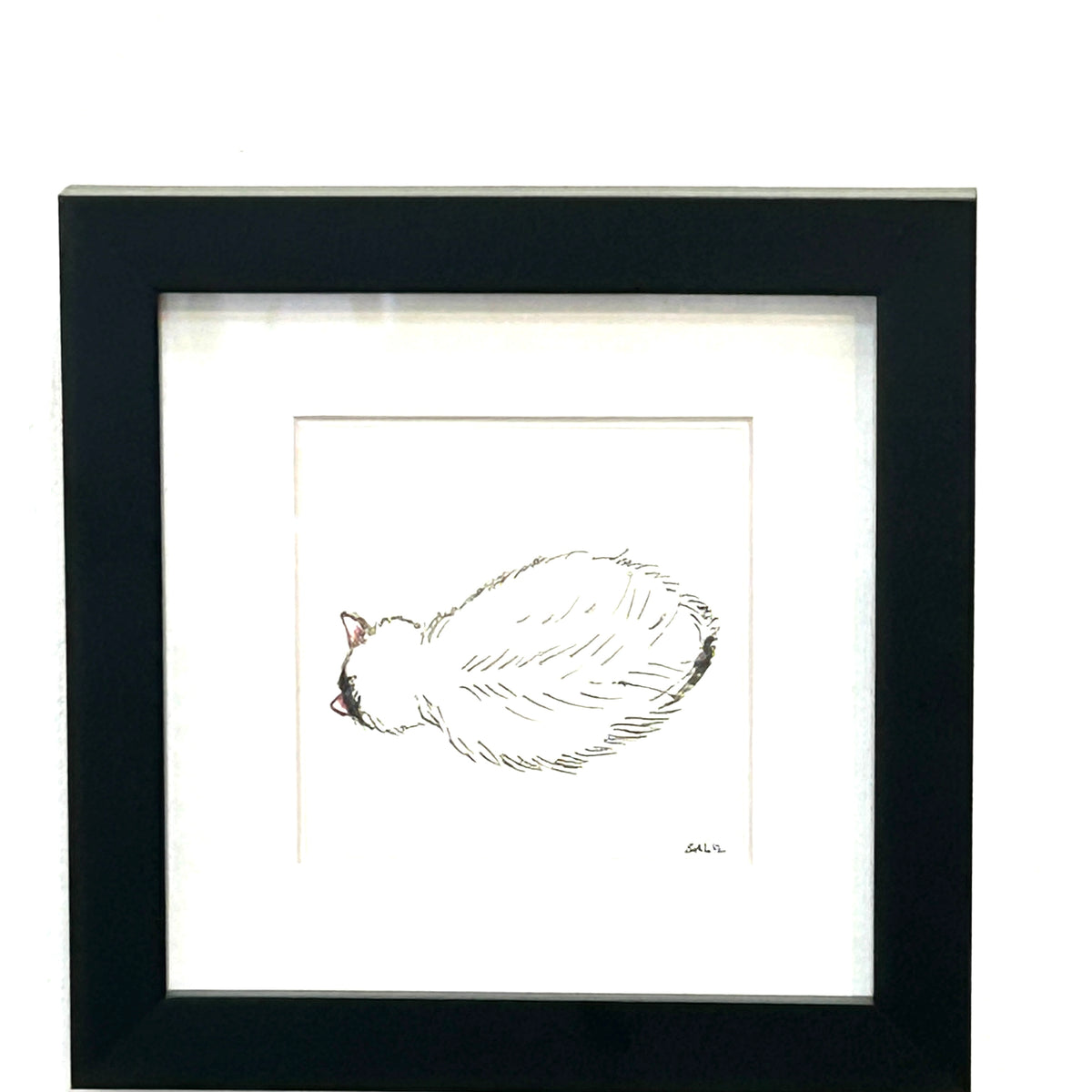 Roly Poly Cat 2 - Watercolor By Salil Kamat