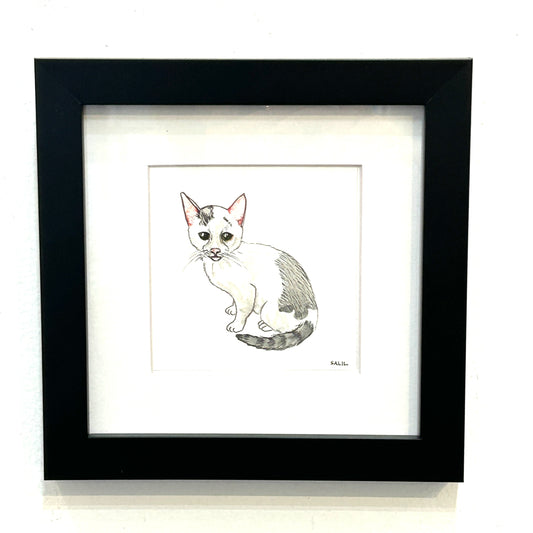 Kitten - Watercolor - By Salil Kamat