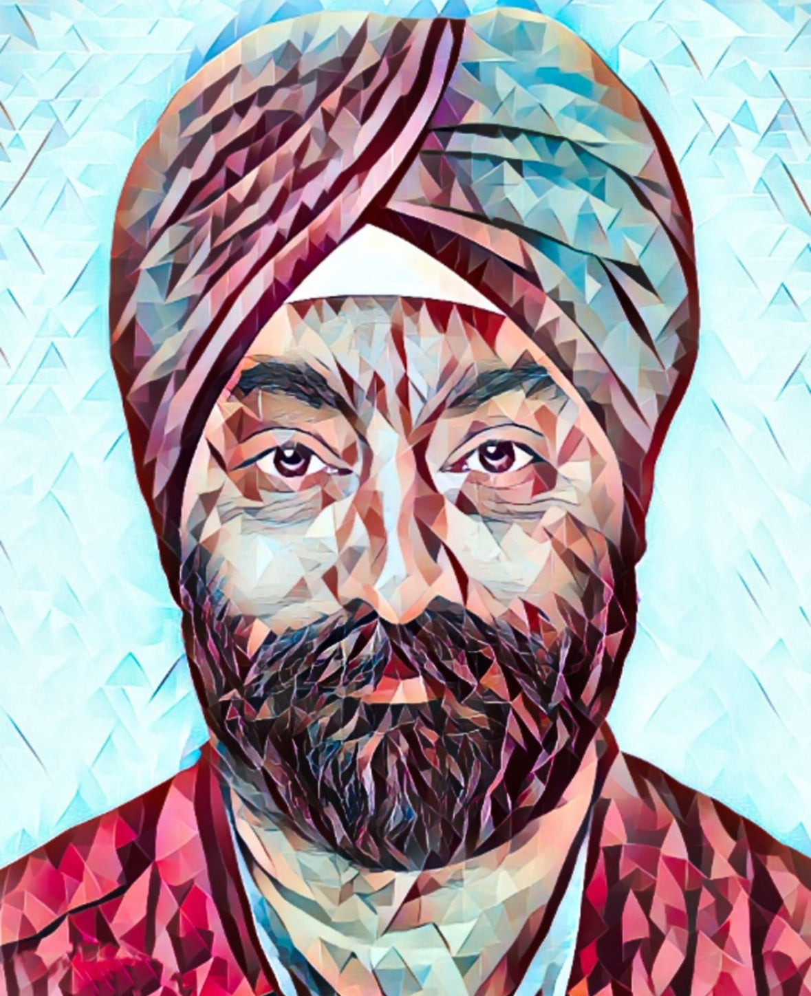 Inder Mokha illustrated headshot