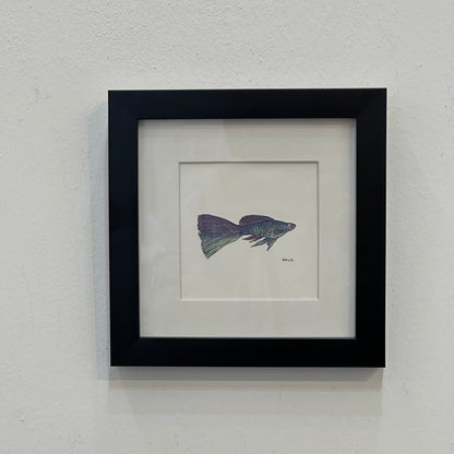 Metallic Guppy - Watercolor - By Salil Kamat