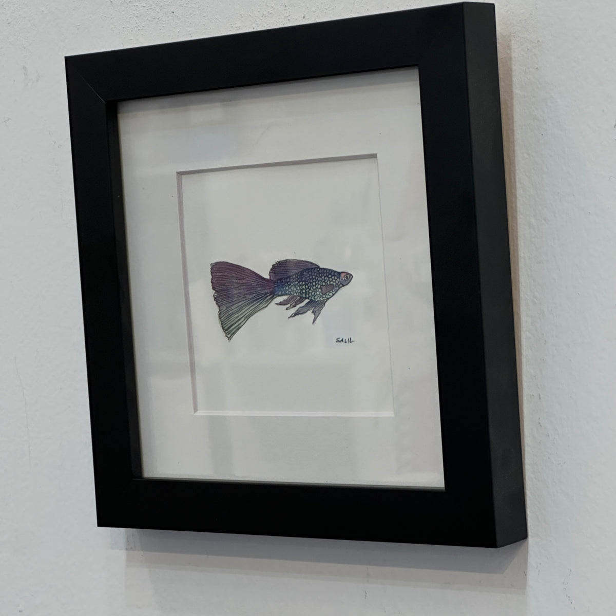 Metallic Guppy - Watercolor - By Salil Kamat