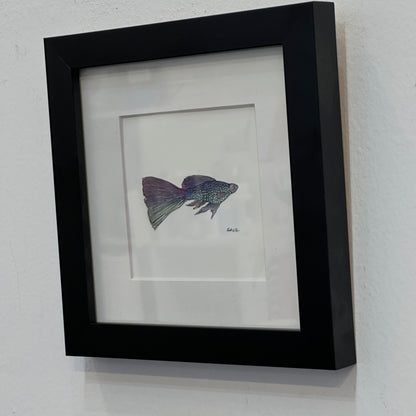 Metallic Guppy - Watercolor - By Salil Kamat