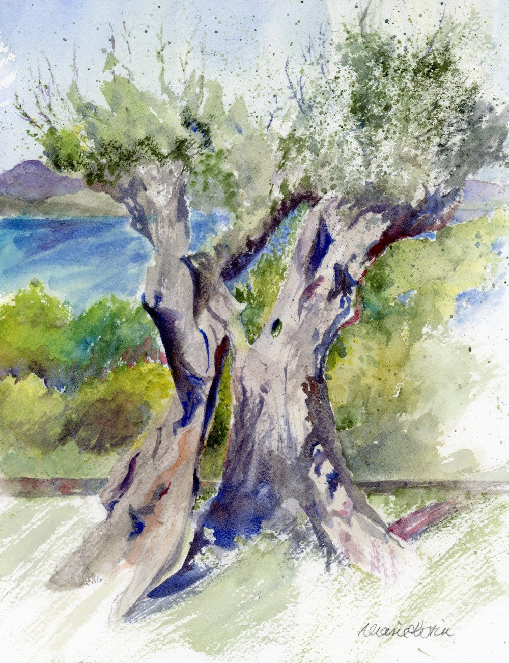 San Savino -Watercolor - Artist Diane Kotin|3348