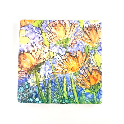 Chrysanthemum Field- By Artem|4055