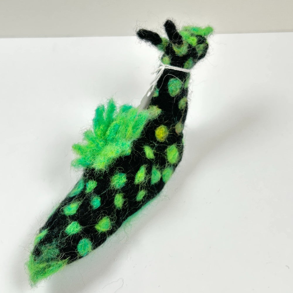 Ricardo the Nudibranch by Gina Laguzza|4533