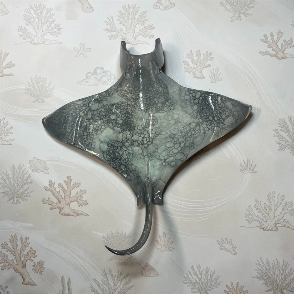 Manta Ray small - by Tim Mikus|3695