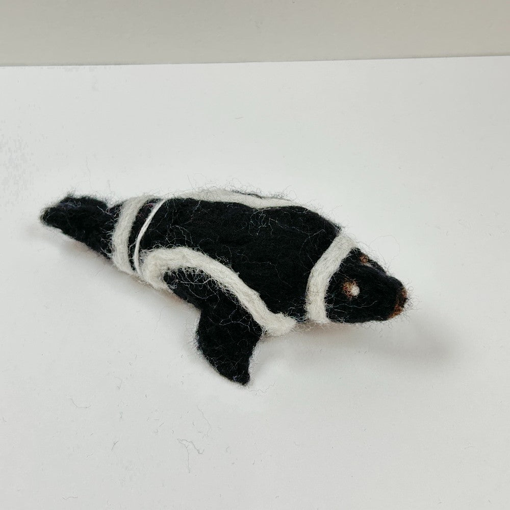 Pascal the Ribbon Seal by Gina Laguzza|4538