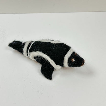 Pascal the Ribbon Seal by Gina Laguzza|4538