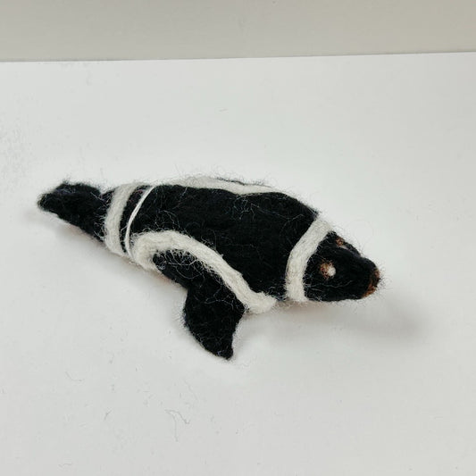 Pascal the Ribbon Seal by Gina Laguzza|4538